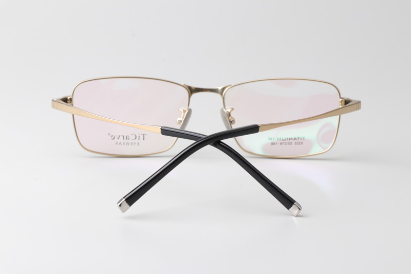 TC8333 Eyeglasses Gold