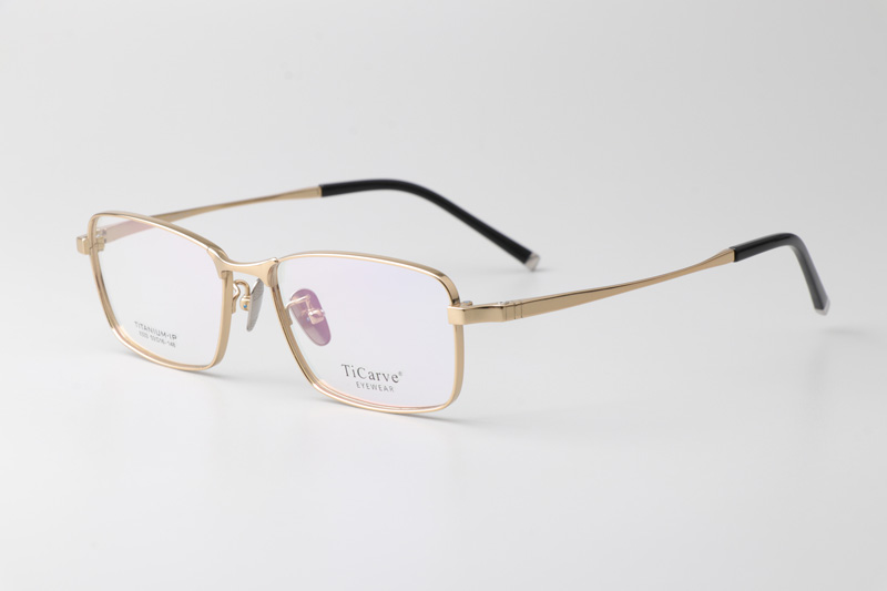 TC8333 Eyeglasses Gold