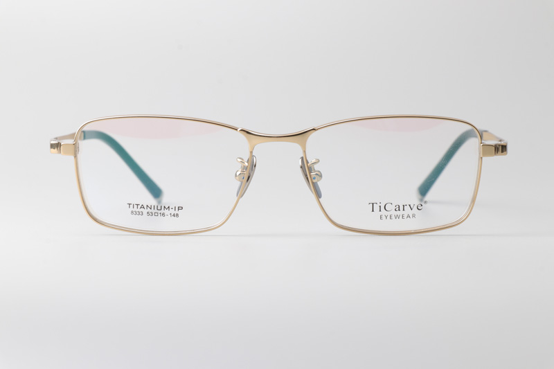 TC8333 Eyeglasses Gold
