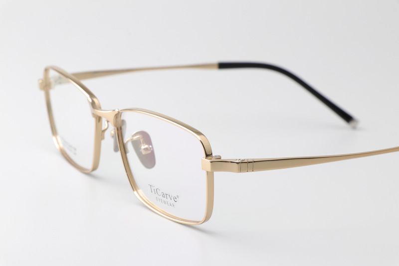 TC8333 Eyeglasses Gold