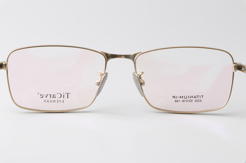 TC8333 Eyeglasses Gold