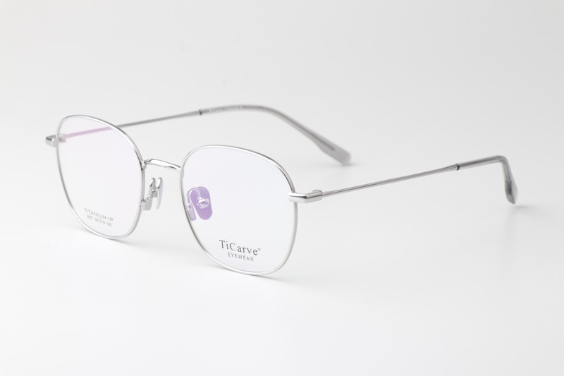 TC9051 Eyeglasses Silver
