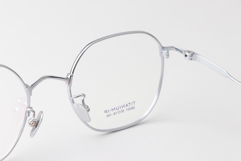 TC98301 Eyeglasses Silver