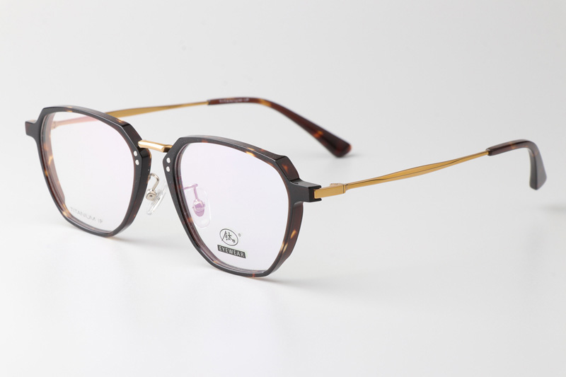 TCS3061 Eyeglasses Tortoise Gold