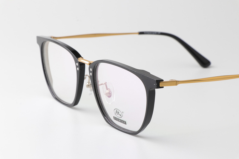 TCS3064 Eyeglasses Black Gold