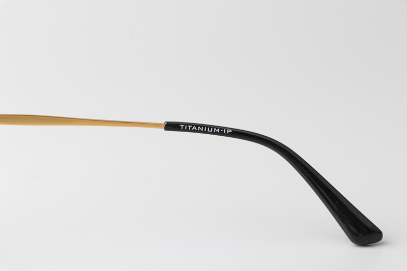 TCS3064 Eyeglasses Black Gold