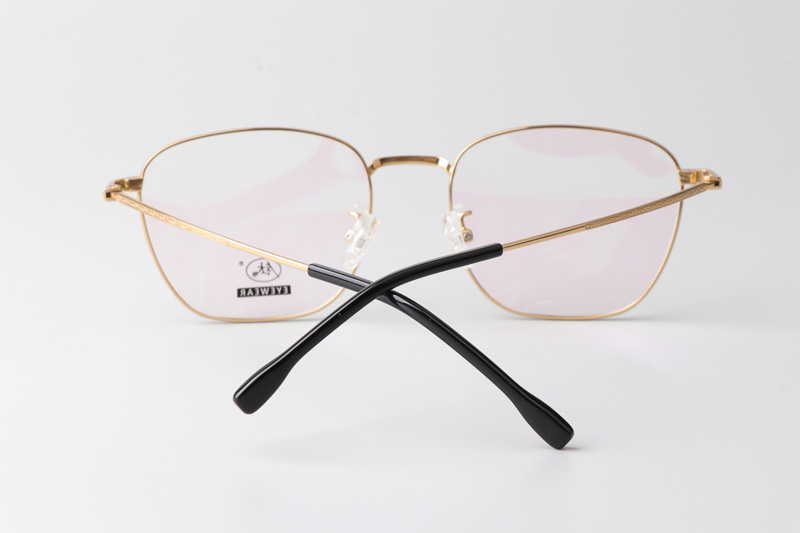 TCS3084 Eyeglasses Black Gold