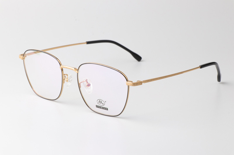 TCS3084 Eyeglasses Black Gold