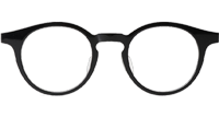 TCS3090 Eyeglasses Black Silver