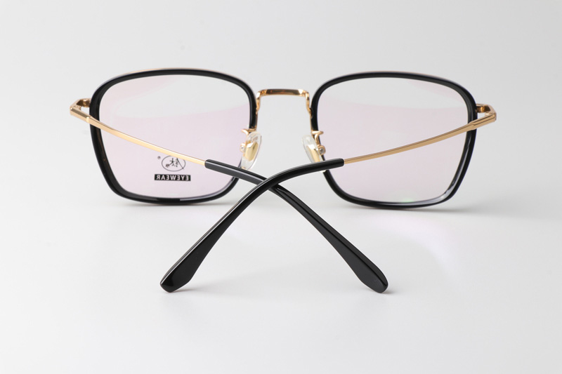 TCS3091 Eyeglasses Black Gold