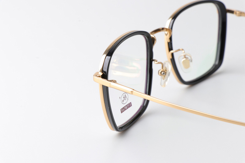 TCS3091 Eyeglasses Black Gold