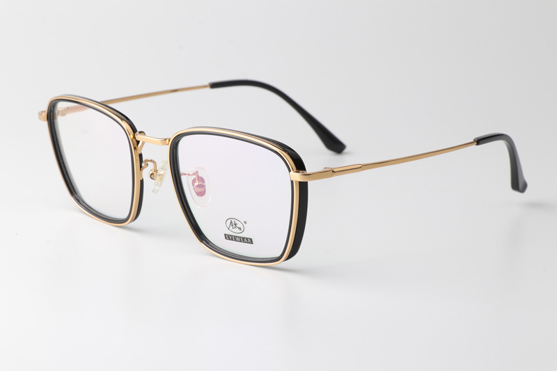 TCS3091 Eyeglasses Black Gold