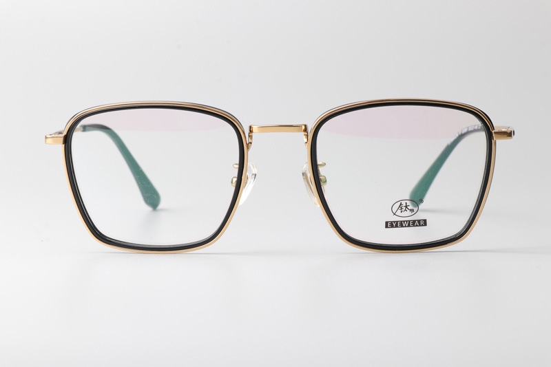 TCS3091 Eyeglasses Black Gold