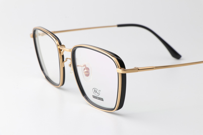 TCS3091 Eyeglasses Black Gold
