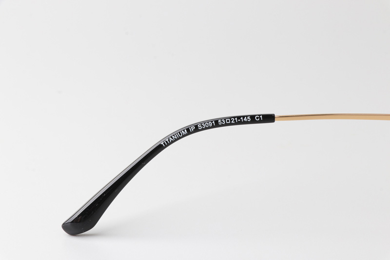 TCS3091 Eyeglasses Black Gold