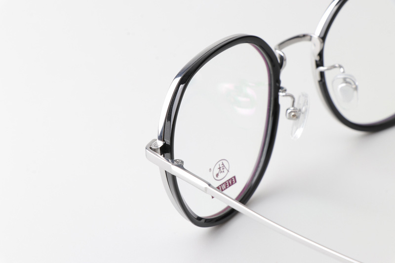TCS3094 Eyeglasses Black Silver