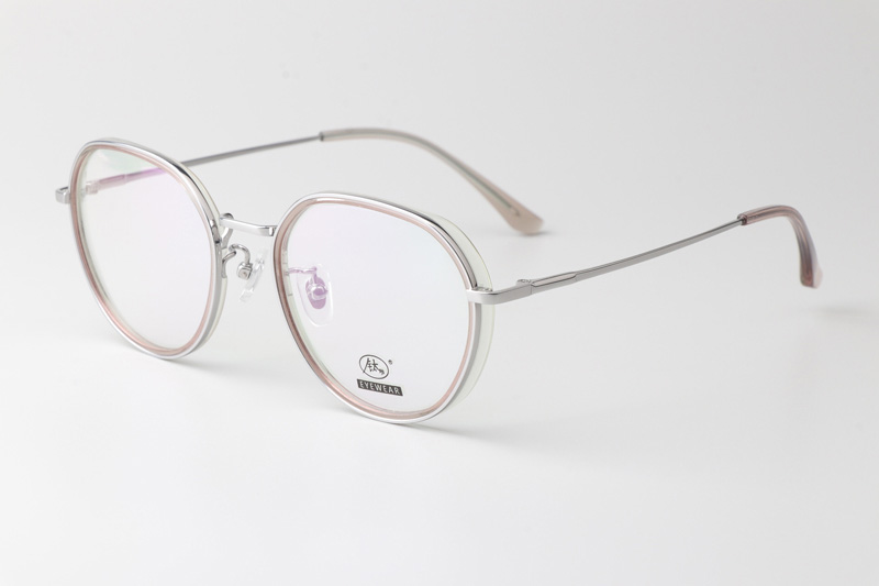 TCS3094 Eyeglasses Transparent Brown Silver