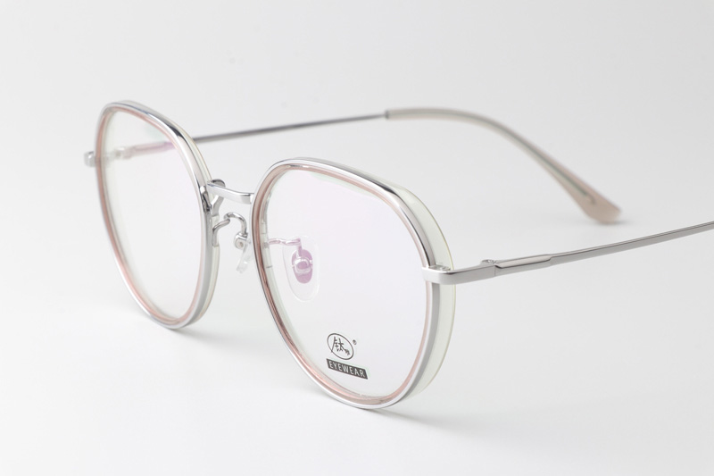 TCS3094 Eyeglasses Transparent Brown Silver