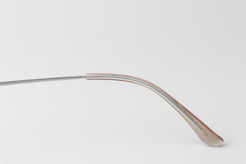 TCS3094 Eyeglasses Transparent Brown Silver