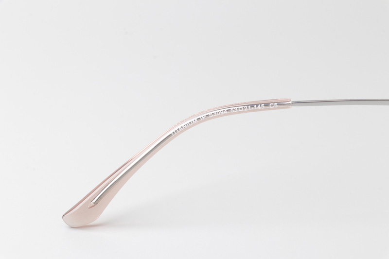 TCS3094 Eyeglasses Transparent Brown Silver