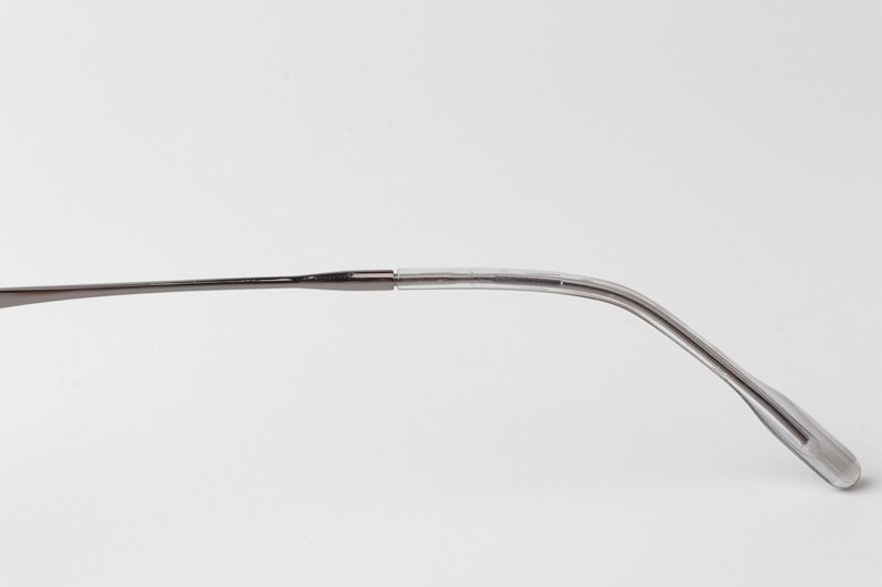 TCS3104 Eyeglasses Clear Brown