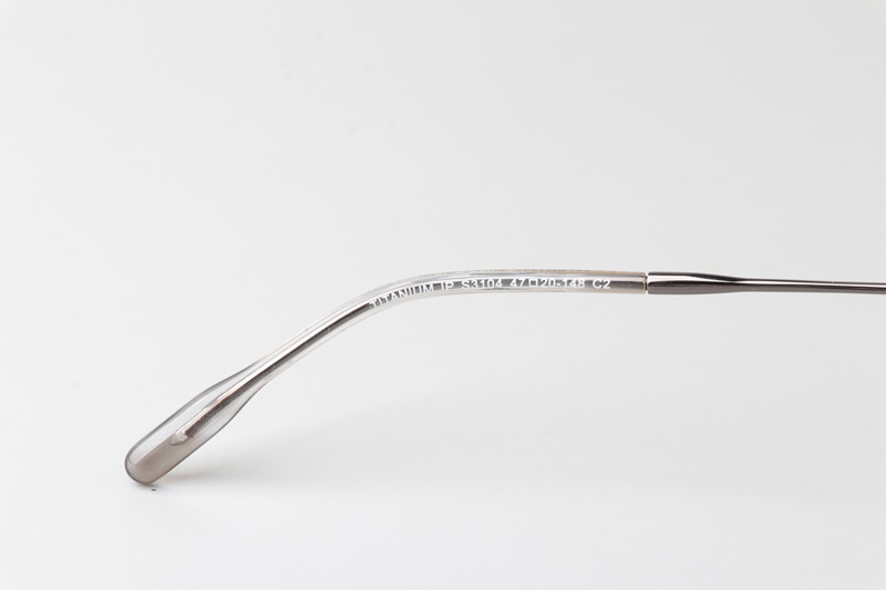 TCS3104 Eyeglasses Clear Brown