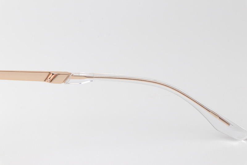 TCS3113 Eyeglasses Clear Gold