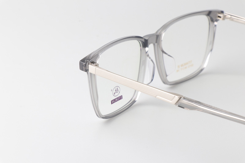TCS3113 Eyeglasses Clear Gray Silver