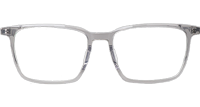TCS3113 Eyeglasses Clear Gray Silver