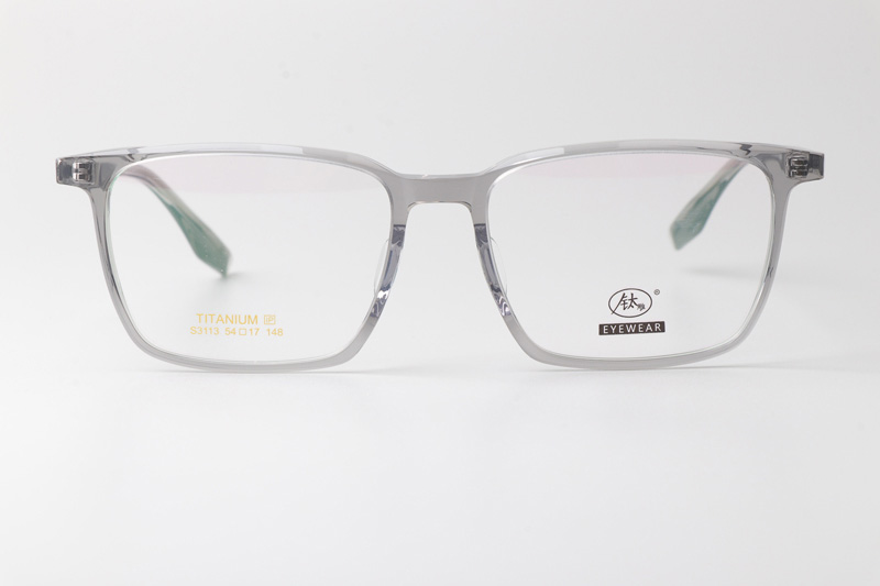TCS3113 Eyeglasses Clear Gray Silver