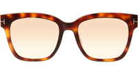 TF0643-K Sunglasses In Tortoise Gradient Brown