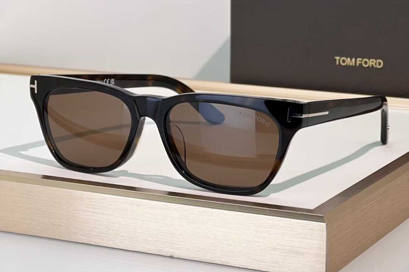 TF1362 Sunglasses Tortoise Brown