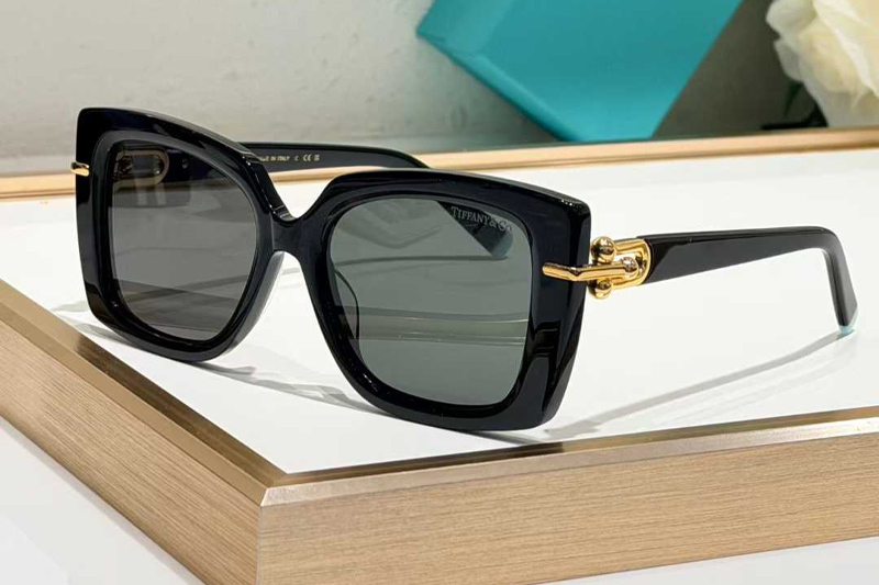 TF4199 Sunglasses Black Gray