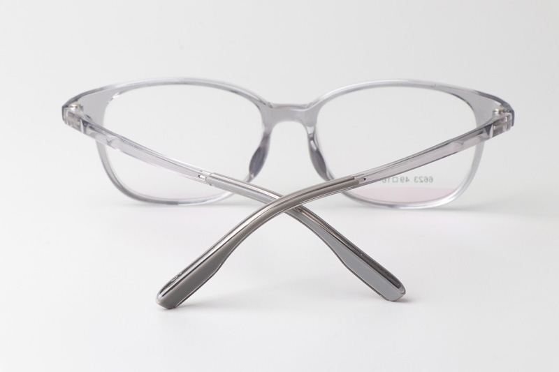 TR6623 Eyeglasses Clear Gray