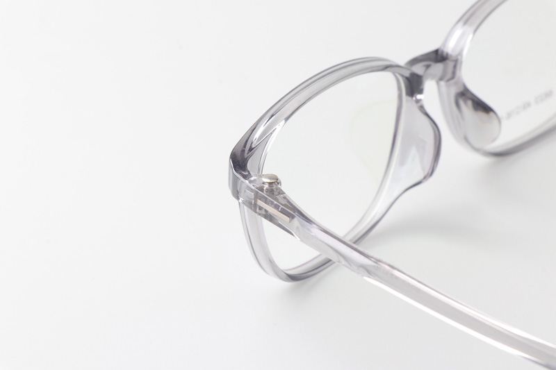 TR6623 Eyeglasses Clear Gray