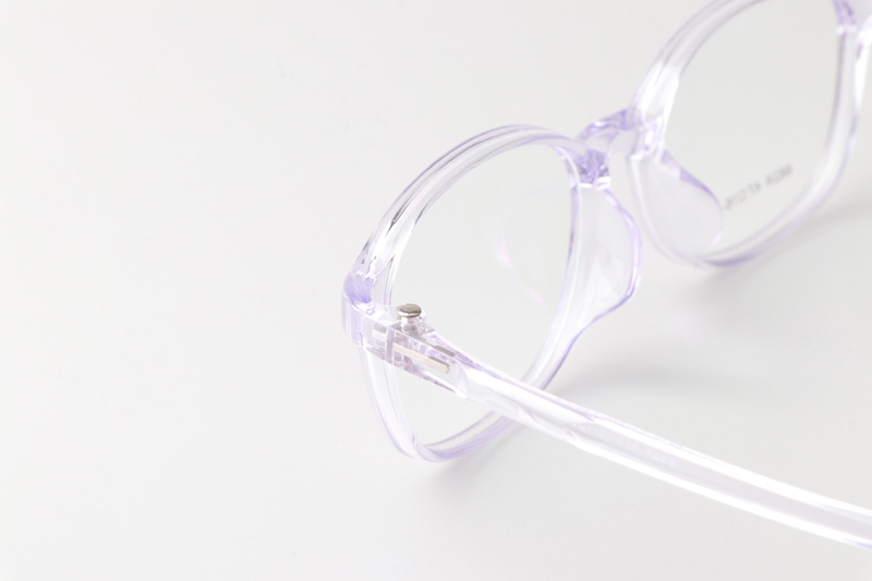 TR6624 Eyeglasses Transparent Purple
