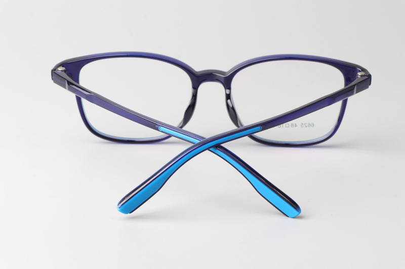 TR6625 Eyeglasses Blue