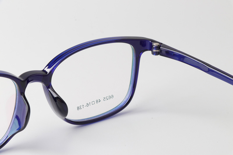 TR6625 Eyeglasses Blue