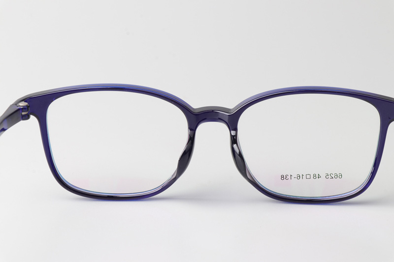 TR6625 Eyeglasses Blue