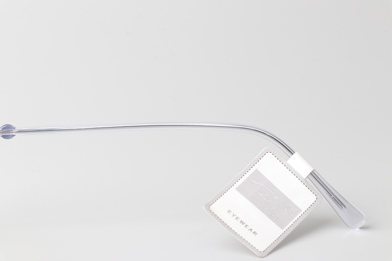 TT31017 Eyeglasses Transparent Silver