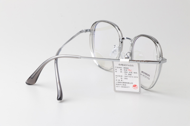 TT32010 Eyeglasses Clear Silver