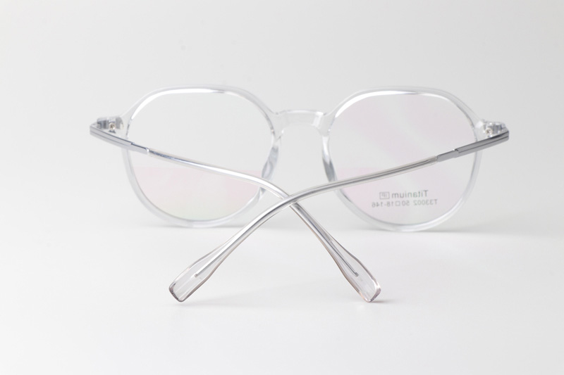 TT33002 Eyeglasses Transparent Gray Silver