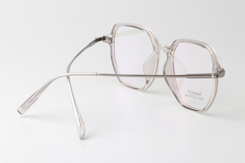 TT33011 Eyeglasses Transparent Gunmetal