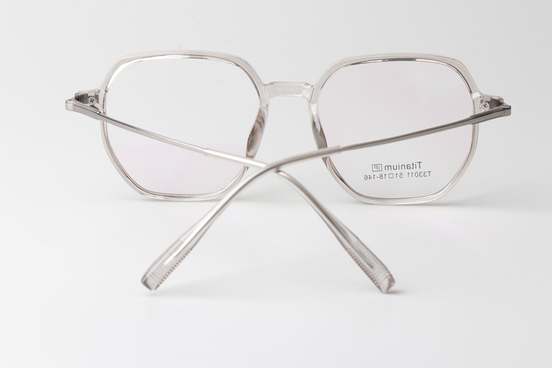 TT33011 Eyeglasses Transparent Gunmetal