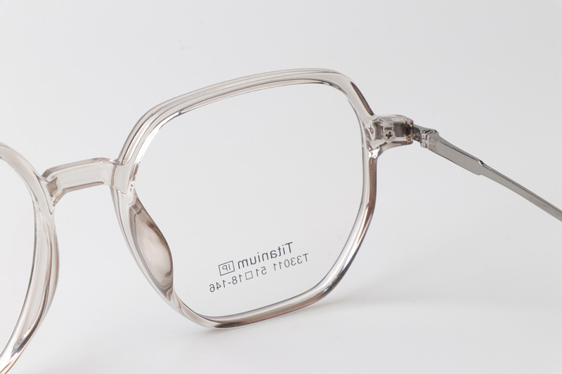 TT33011 Eyeglasses Transparent Gunmetal