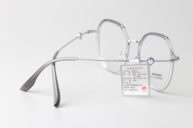 TT37006 Eyeglasses Transparent Gray Silver