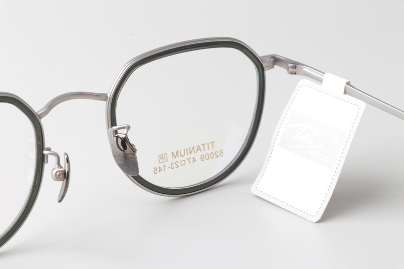 TT52009 Eyeglasses Gray Silver