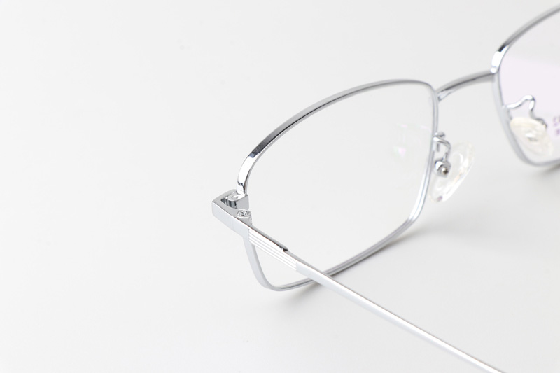TT6029 Eyeglasses Silver