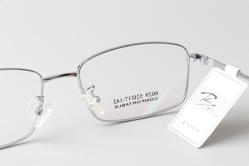 TT6029 Eyeglasses Silver