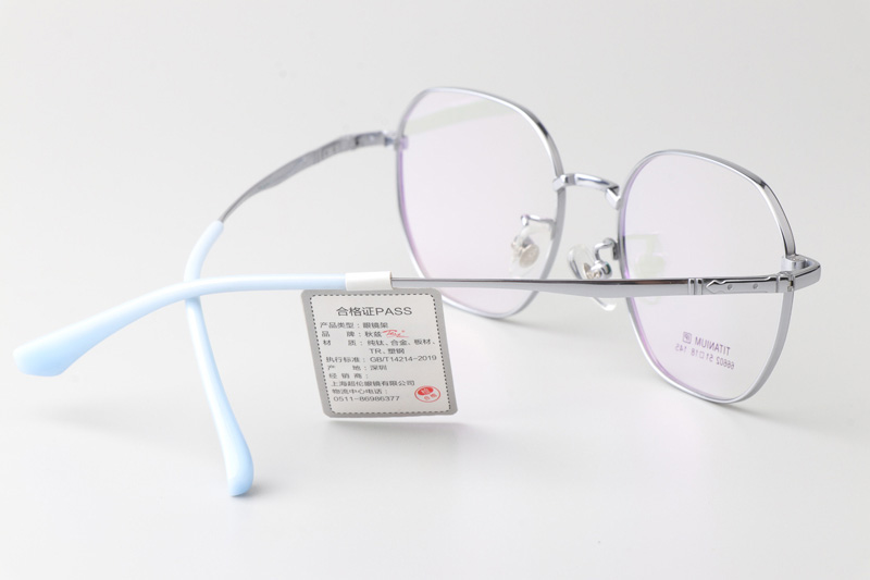 TT66602 Eyeglasses Black Silver